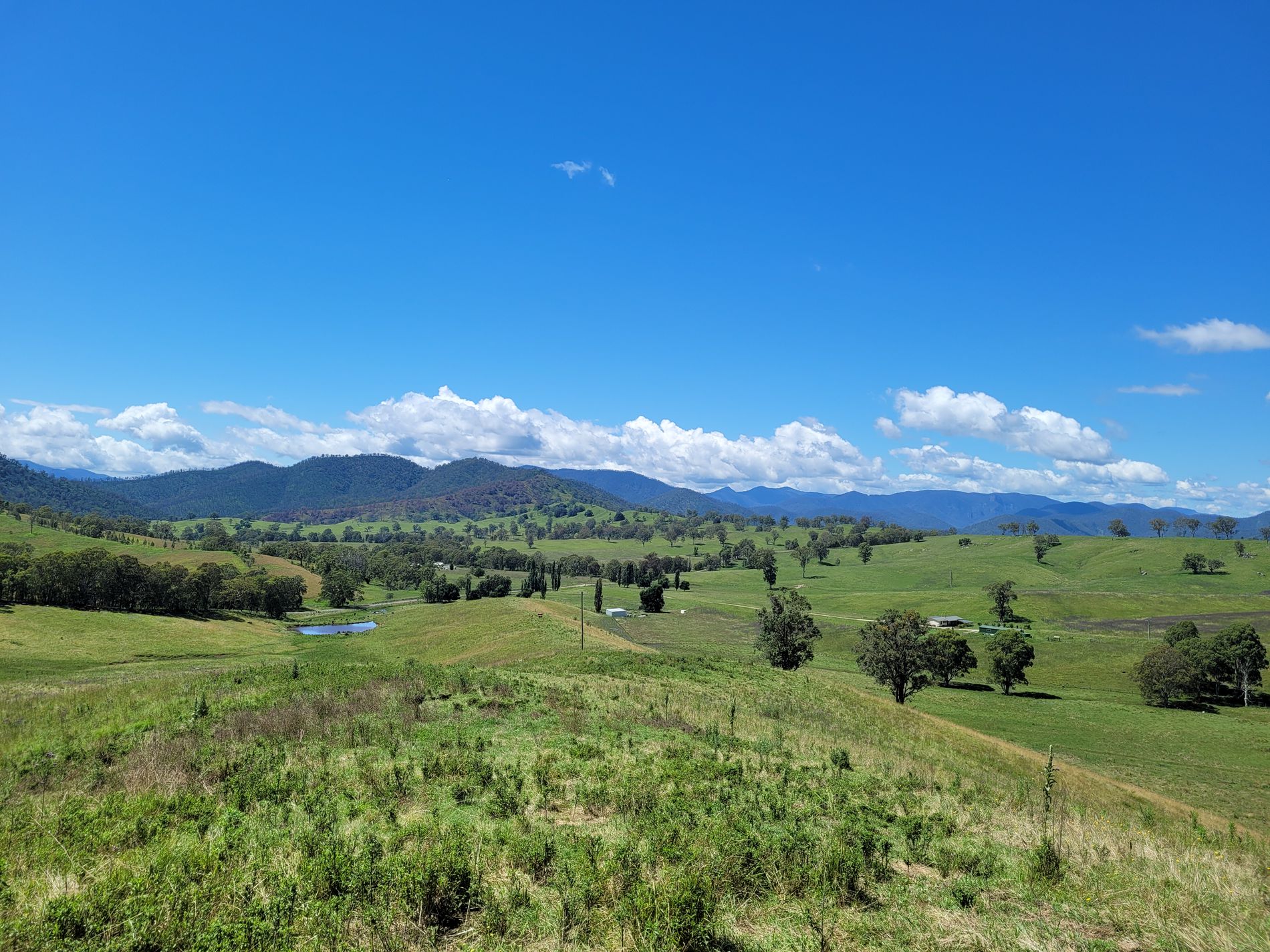 472 Neringla Road, Neringla