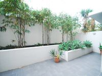 82 Alfred Street, Fortitude Valley