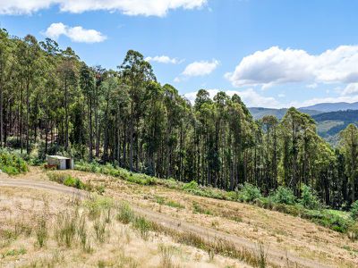 98 Coal Mine Road, Gardners Bay