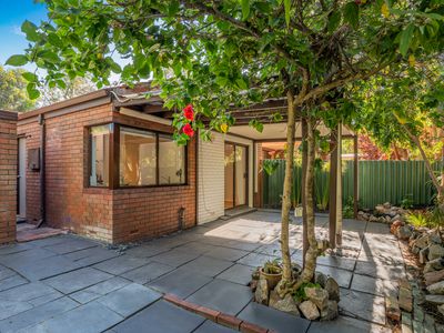 7 Bold Place, Ferndale