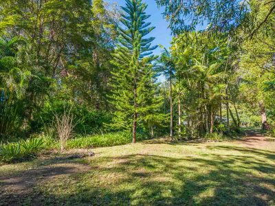 1117 Tuntable Creek Road, Nimbin