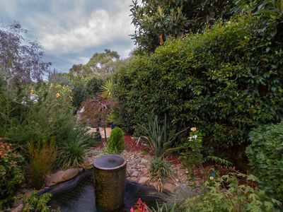 6 Anjaya Court, Frankston