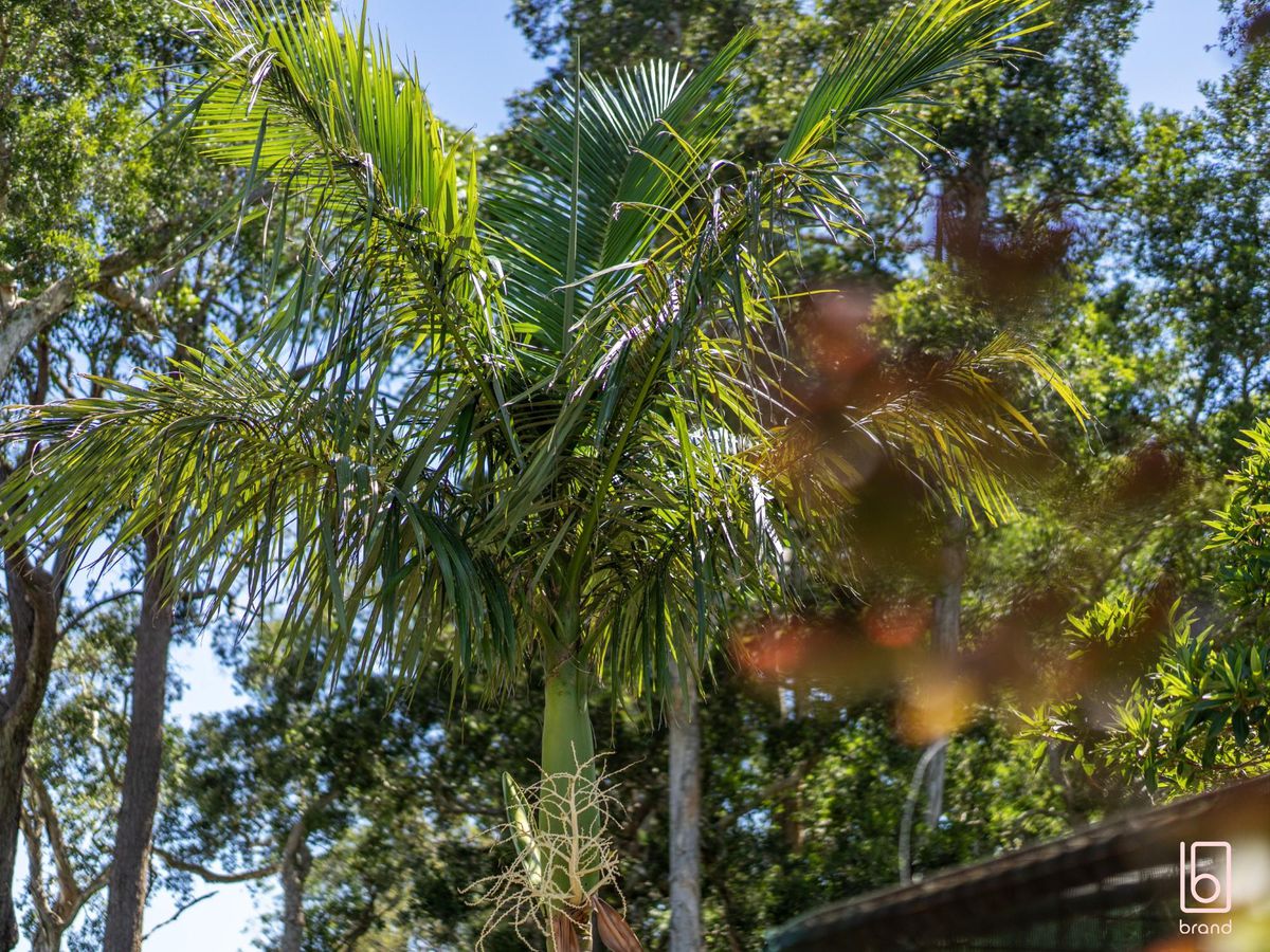 16 Nicholson Crescent, Toukley