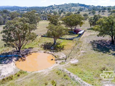 Lot 52, 2202 Wellington Vale Road, Emmaville