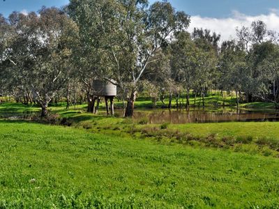 1649 Gerogery Road, Gerogery