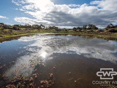 13 Bluff River Road, Tenterfield