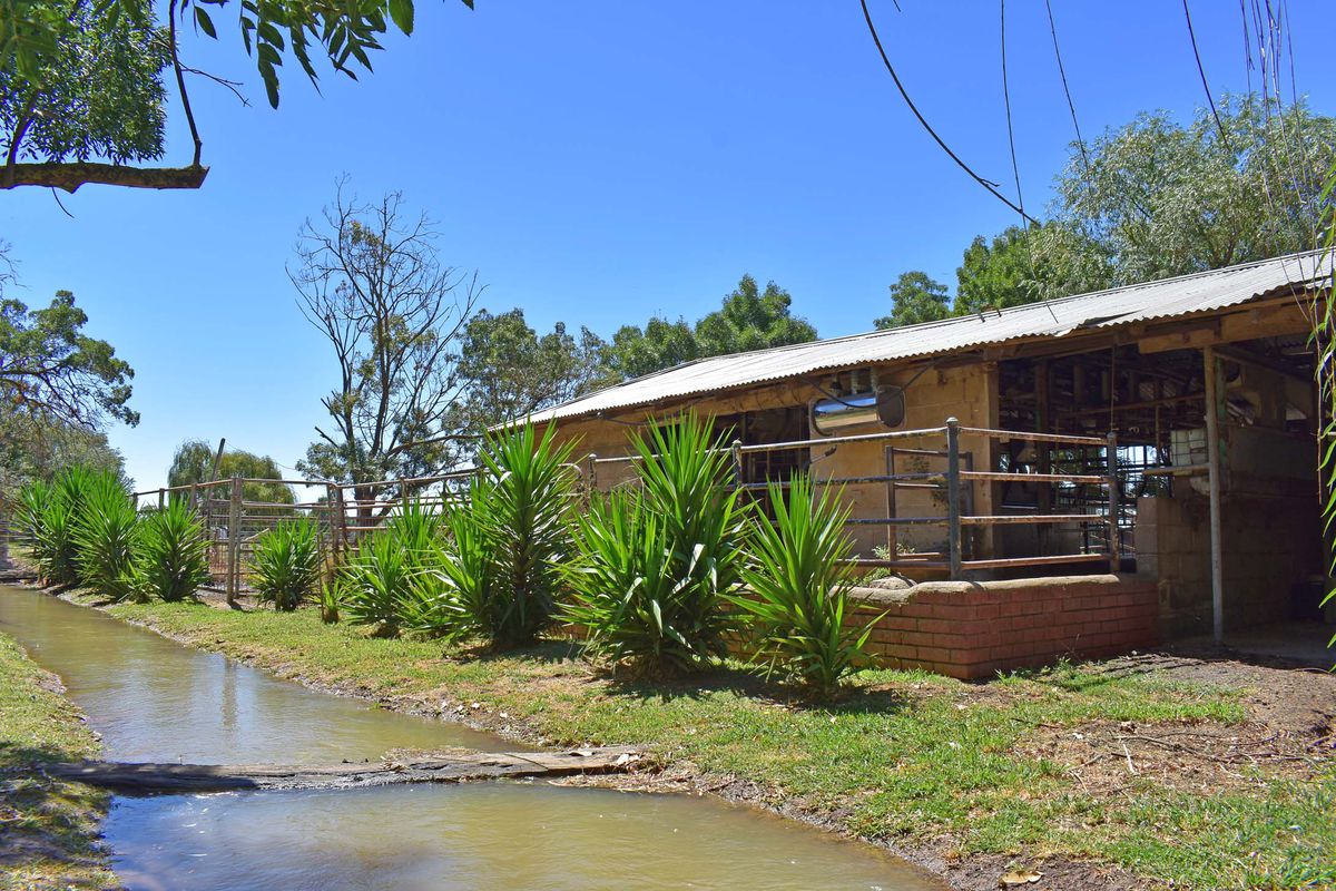 1550 Fenaughty Road, Merrigum