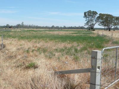 562 Koondrook Murrabit Road, Koondrook