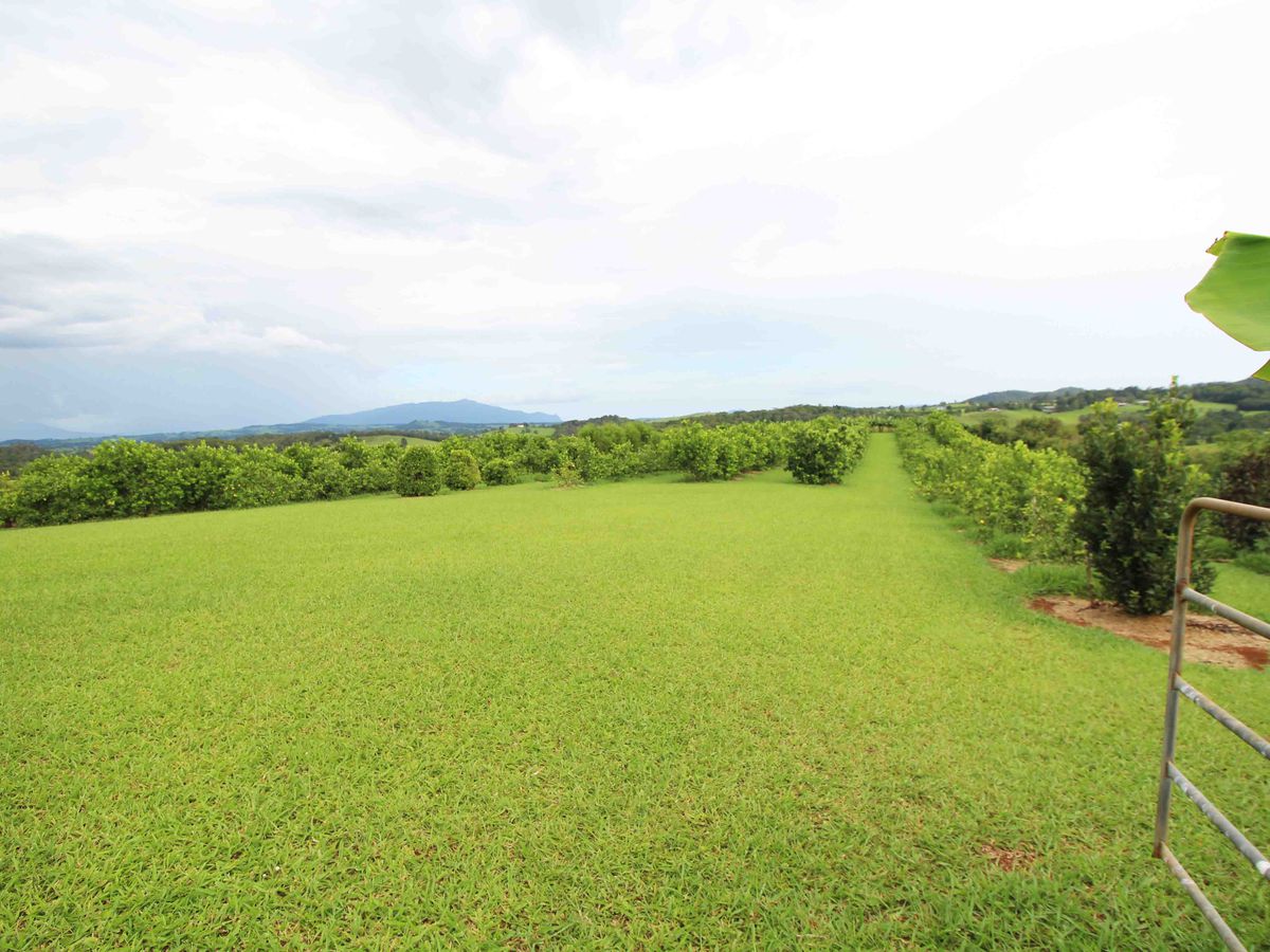 1654 MILLAA-MALANDA ROAD, Jaggan