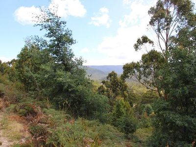 547 She Oak Road, Judbury