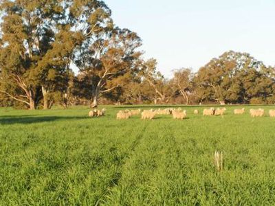 796 Fellow Hills Road, Holbrook