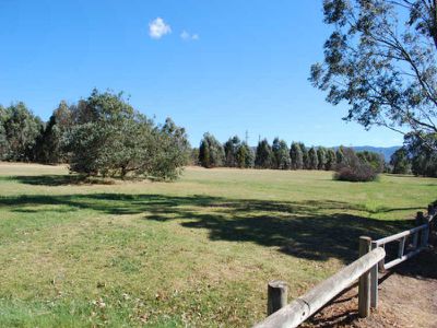 11 Lobelia Street, Albion Park Rail