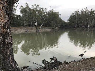 Riverside Homestead Colenso Park Road, Barham