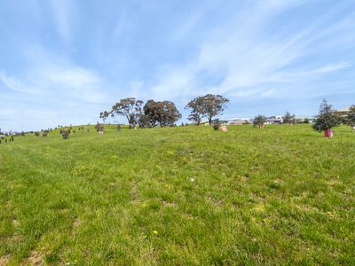 34 Sherrard Crescent, Macnamara