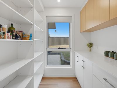 14 Pimelea Close, George Town