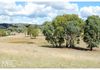 86 Frewin Road, Orange