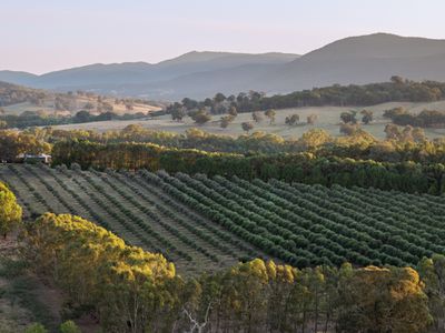 2490 Samaria Road, Moorngag