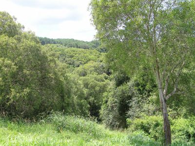 93 Western Avenue, Montville