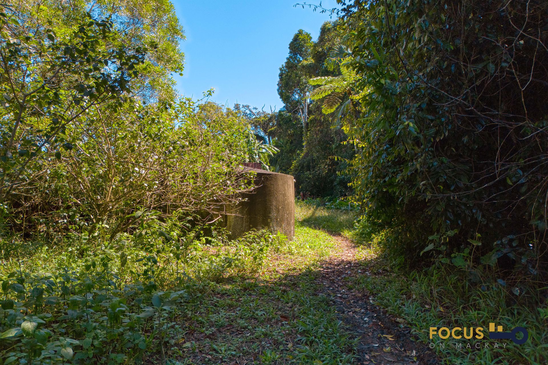 8 Howie Street, Eungella