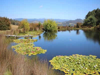 156 Dillons Hill Road, Glaziers Bay