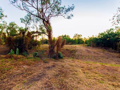 582 / Packsaddle Road, Kununurra