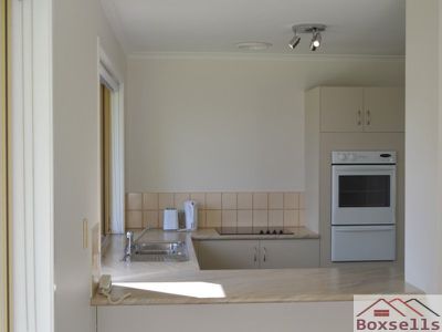 54 Palm, Maleny