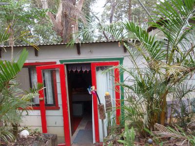 174 Billinudgel Road, Billinudgel