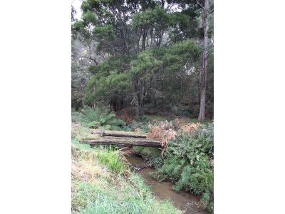 Lot 5 Cairns Road, Surges Bay