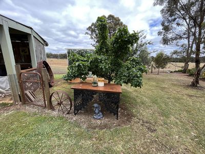 83A Newbold Street, Wedderburn