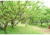 1148 Long Point Road, Orange