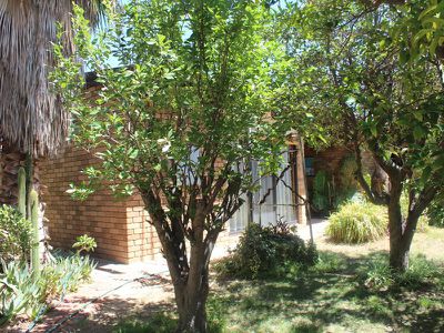 24 Yarrien Street, Barham