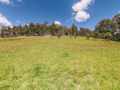 104 Judds Creek Road, Judbury