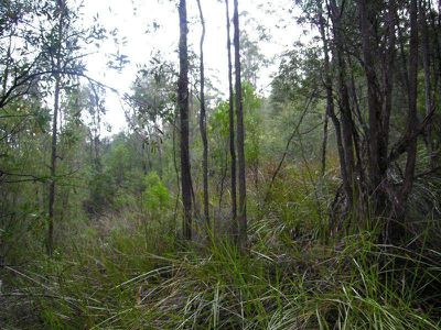 Bakers Road, Raminea