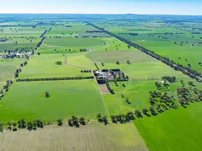 'Pastoria Park' 205 Balldale Road, Hopefield