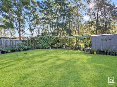 53 Geoffrey Road, Chittaway Point