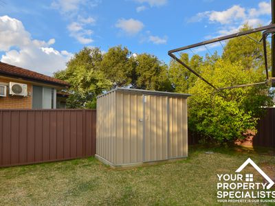 29 McCrae Drive, Camden South