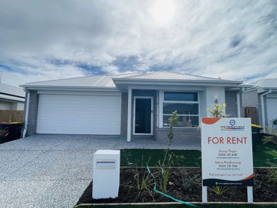 36 Harvest St, Morayfield