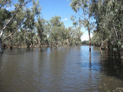 Tocumwal