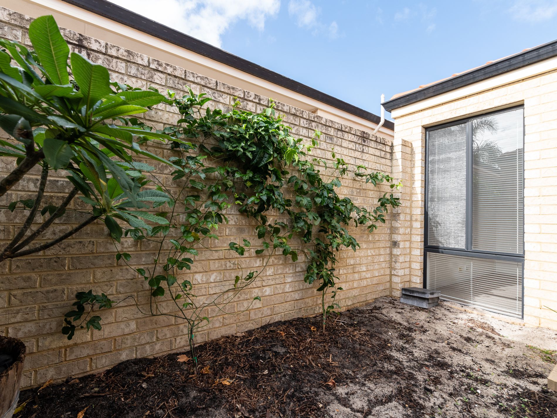 1/31 Holder Street, St James