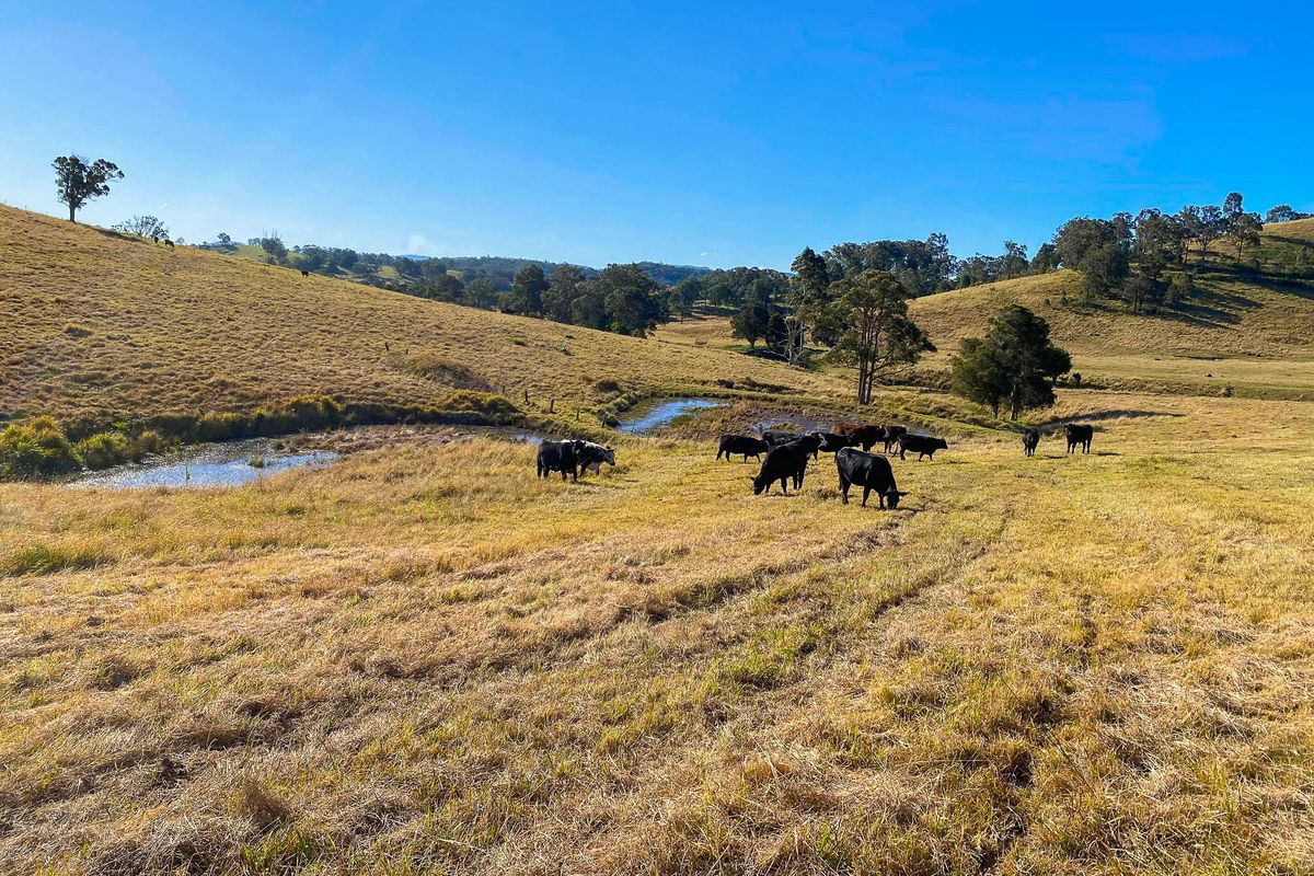 682 Bunyah Road, Bunyah