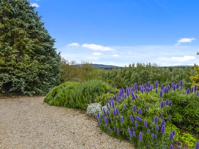 24 Magnet Lane , Gisborne