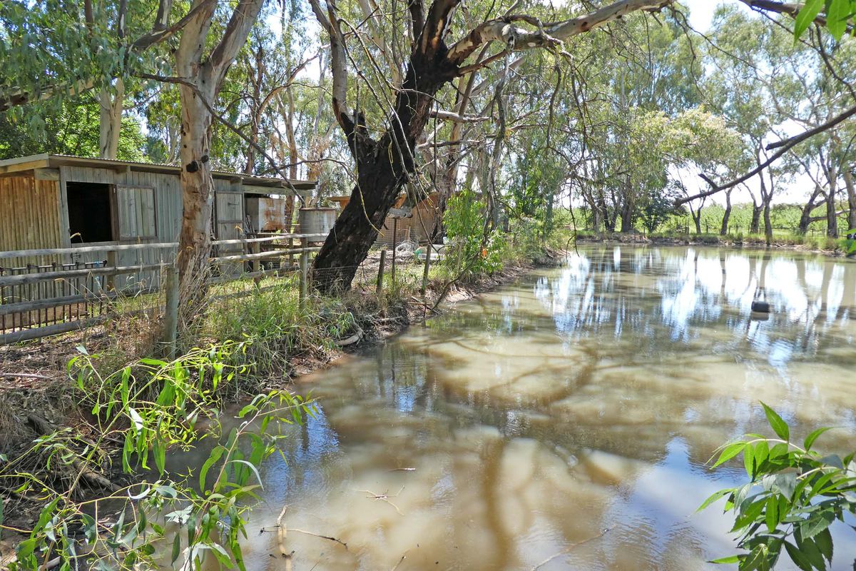 53 Howards Lane, Kyabram