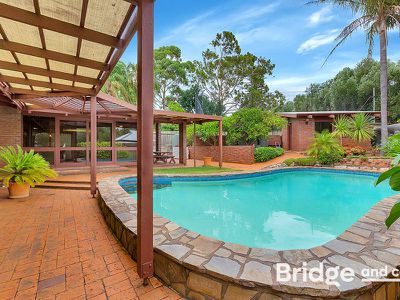 16 John Cleland Drive, Beaumont