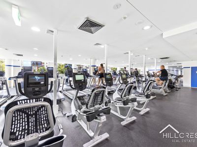 233/11 Potter Street, Waterloo