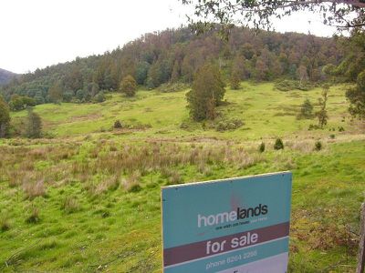 Halls Track Road, Pelverata