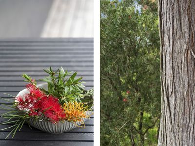 64 Wattle Street, Fishermans Paradise