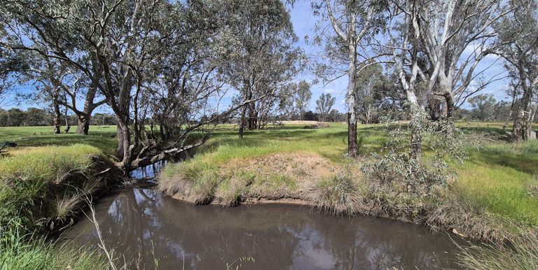 50 Ramage Road, Violet Town