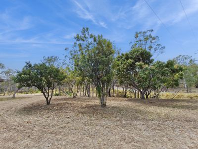 29 Bischoff Mill Road, Watsonville