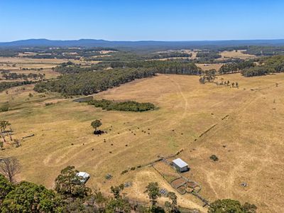 202 Dingo Flat Road, Tingledale