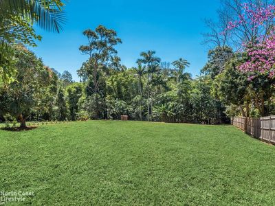 20 Azalea Street, Mullumbimby